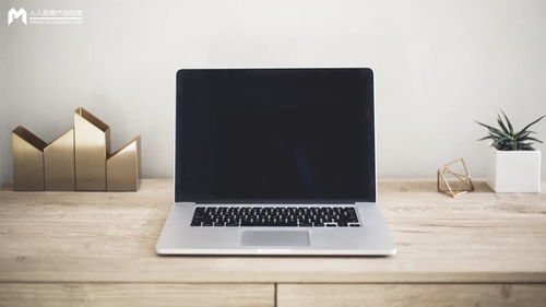 模型產(chǎn)品市場(chǎng)規(guī)模計(jì)算與銷(xiāo)售策略分析